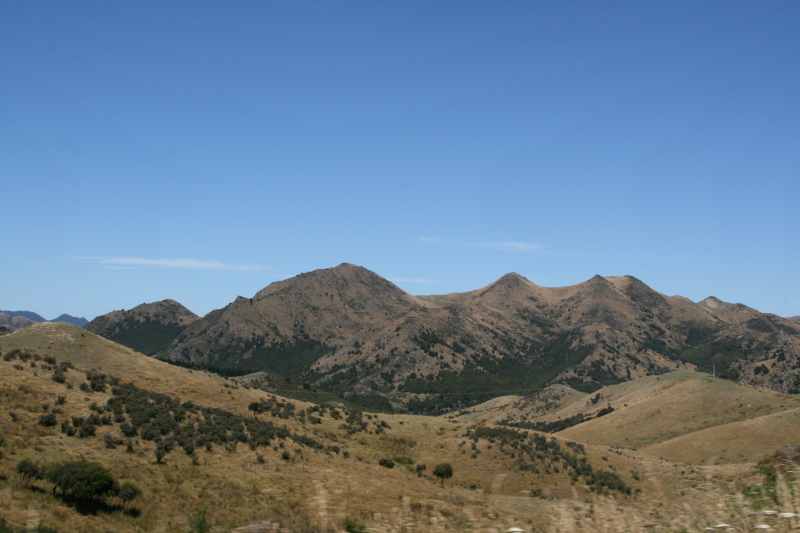 Nieuw-Zeeland 2011 - 1268